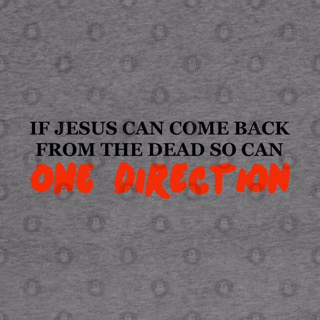 IF JESUS CAN COME BACK FROM THE DEAD SO CAN ONE DIRECTION by EmandEmHandmade